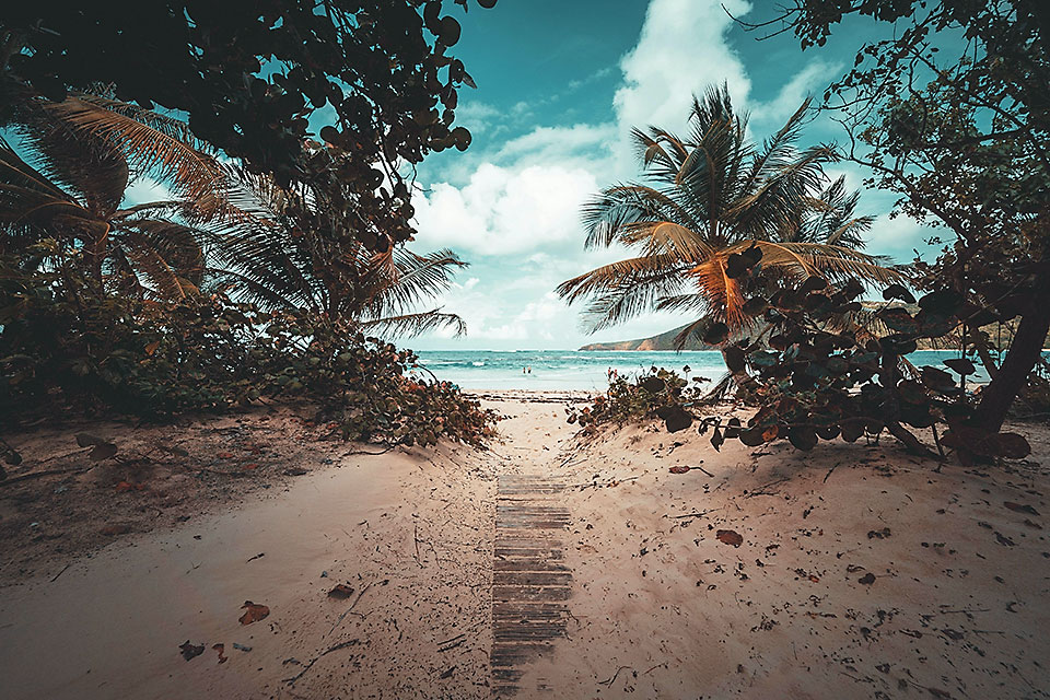 Tropical beach pathway framed by palm trees leading to turquoise ocean at Casa Eterna Verano.